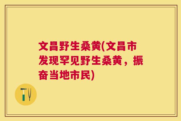 文昌野生桑黄(文昌市发现罕见野生桑黄,振奋当地市民) 文昌野生桑黄(文昌市发现罕见野生桑黄,振奋当地市民)