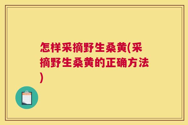 怎样采摘野生桑黄(采摘野生桑黄的正确方法)