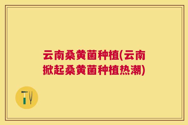 云南桑黄菌种植(云南掀起桑黄菌种植热潮) 云南桑黄菌种植(云南掀起桑黄菌种植热潮)