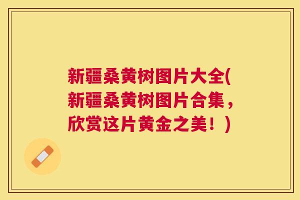 新疆桑黄树图片大全(新疆桑黄树图片合集，欣赏这片黄金之美！)
