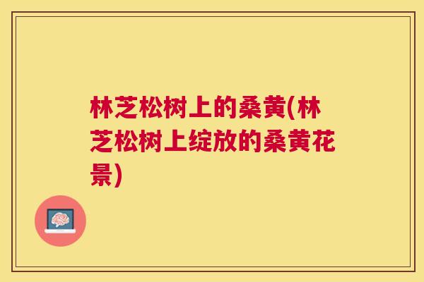 林芝松树上的桑黄(林芝松树上绽放的桑黄花景) 林芝松树上的桑黄(林芝松树上绽放的桑黄花景)