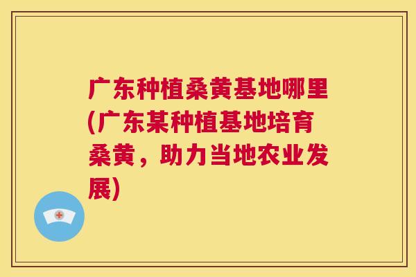 广东种植桑黄基地哪里(广东某种植基地培育桑黄,助力当地农业发展) 广东种植桑黄基地哪里(广东某种植基地培育桑黄,助力当地农业发展)
