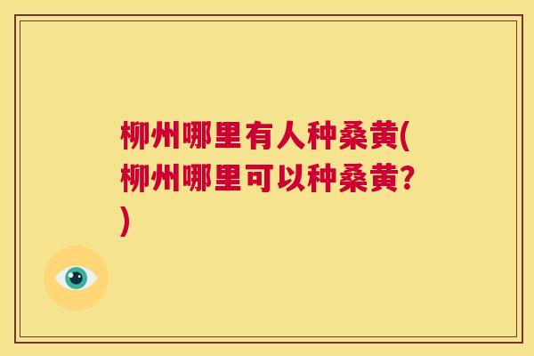 柳州哪里有人种桑黄(柳州哪里可以种桑黄?) 柳州哪里有人种桑黄(柳州哪里可以种桑黄?)