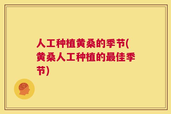 人工种植黄桑的季节(黄桑人工种植的佳季节) 人工种植黄桑的季节(黄桑人工种植的佳季节)