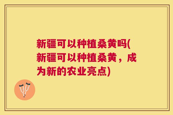 新疆可以种植桑黄吗(新疆可以种植桑黄,成为新的农业亮点) 新疆可以种植桑黄吗(新疆可以种植桑黄,成为新的农业亮点)