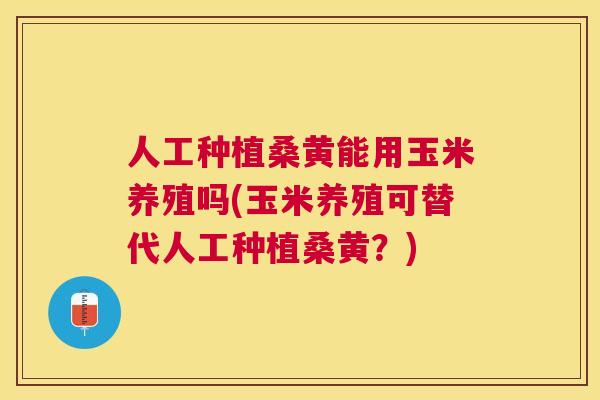 人工种植桑黄能用玉米养殖吗(玉米养殖可替代人工种植桑黄?) 人工种植桑黄能用玉米养殖吗(玉米养殖可替代人工种植桑黄?)