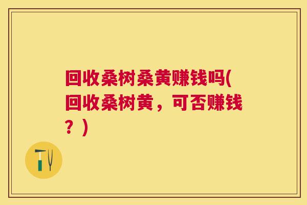 回收桑树桑黄赚钱吗(回收桑树黄,可否赚钱?) 回收桑树桑黄赚钱吗(回收桑树黄,可否赚钱?)