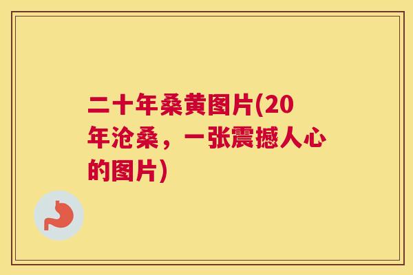 二十年桑黄图片(20年沧桑,一张震撼人心的图片) 二十年桑黄图片(20年沧桑,一张震撼人心的图片)