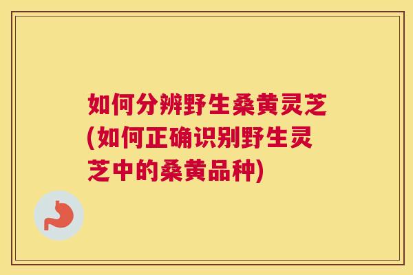 如何分辨野生桑黄灵芝(如何正确识别野生灵芝中的桑黄品种)