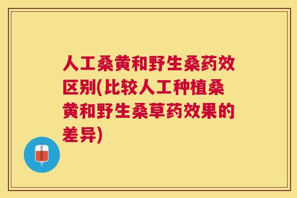 人工桑黄和野生桑区别(比较人工种植桑黄和野生桑草果的差异) 人工桑黄和野生桑区别(比较人工种植桑黄和野生桑草果的差异)