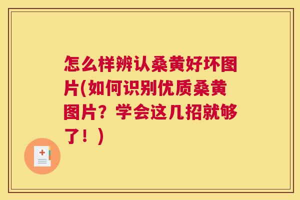 怎么样辨认桑黄好坏图片(如何识别优质桑黄图片？学会这几招就够了！)