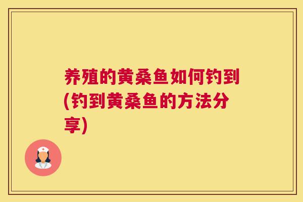 养殖的黄桑鱼如何钓到(钓到黄桑鱼的方法分享) 养殖的黄桑鱼如何钓到(钓到黄桑鱼的方法分享)