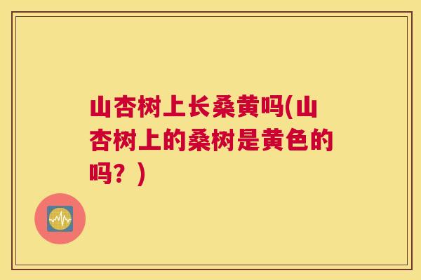 山杏树上长桑黄吗(山杏树上的桑树是黄色的吗?) 山杏树上长桑黄吗(山杏树上的桑树是黄色的吗?)