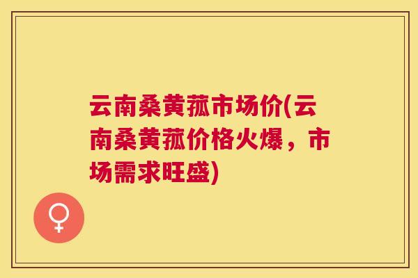 云南桑黄菰市场价(云南桑黄菰价格火爆,市场需求旺盛) 云南桑黄菰市场价(云南桑黄菰价格火爆,市场需求旺盛)