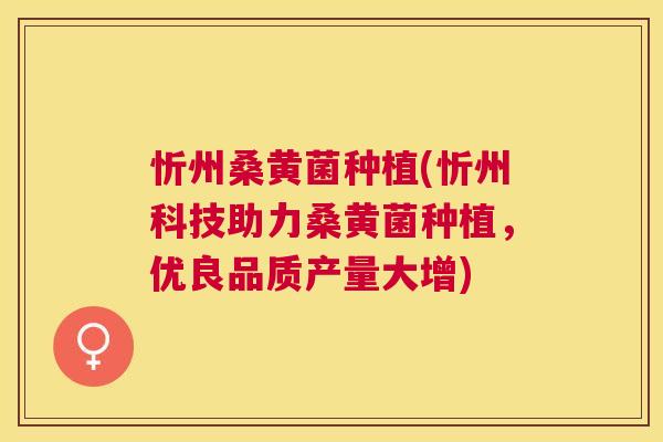 忻州桑黄菌种植(忻州科技助力桑黄菌种植,优良品质产量大增) 忻州桑黄菌种植(忻州科技助力桑黄菌种植,优良品质产量大增)