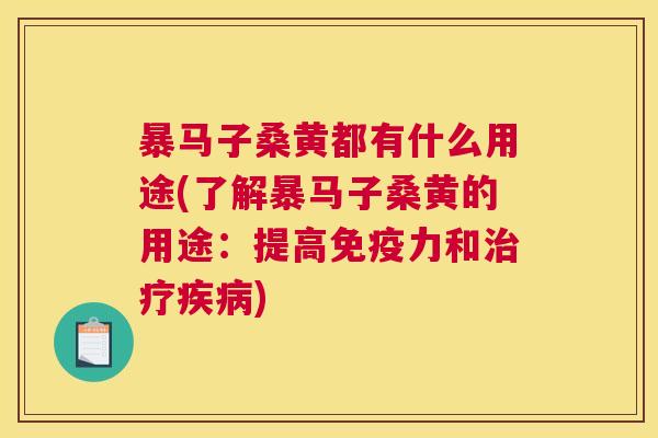 暴马子桑黄都有什么用途(了解暴马子桑黄的用途:提高力和) 暴马子桑黄都有什么用途(了解暴马子桑黄的用途:提高力和)