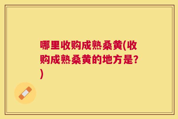 哪里收购成熟桑黄(收购成熟桑黄的地方是?) 哪里收购成熟桑黄(收购成熟桑黄的地方是?)