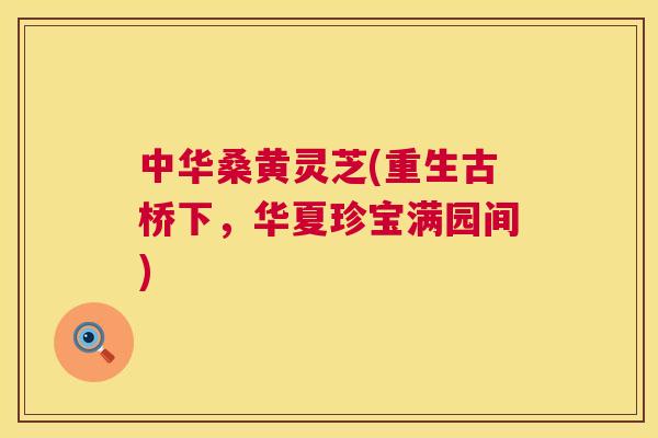 中华桑黄灵芝(重生古桥下，华夏珍宝满园间)
