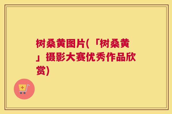 树桑黄图片(「树桑黄」摄影大赛优秀作品欣赏) 树桑黄图片(「树桑黄」摄影大赛优秀作品欣赏)