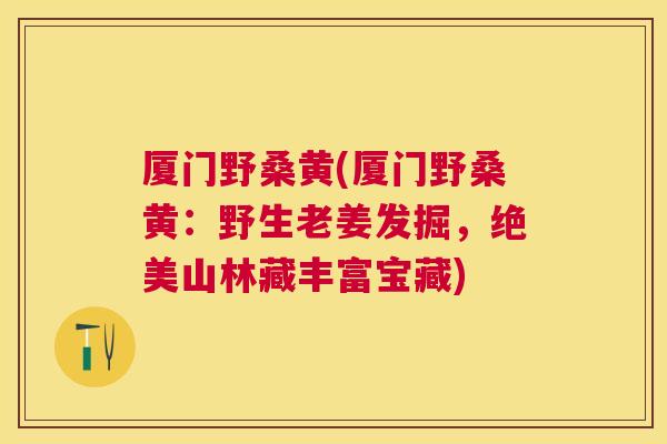 厦门野桑黄(厦门野桑黄:野生老姜发掘,绝美山林藏丰富宝藏) 厦门野桑黄(厦门野桑黄:野生老姜发掘,绝美山林藏丰富宝藏)