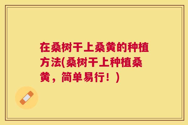 在桑树干上桑黄的种植方法(桑树干上种植桑黄,简单易行!) 在桑树干上桑黄的种植方法(桑树干上种植桑黄,简单易行!)