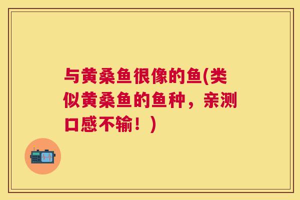 与黄桑鱼很像的鱼(类似黄桑鱼的鱼种,亲测口感不输!) 与黄桑鱼很像的鱼(类似黄桑鱼的鱼种,亲测口感不输!)