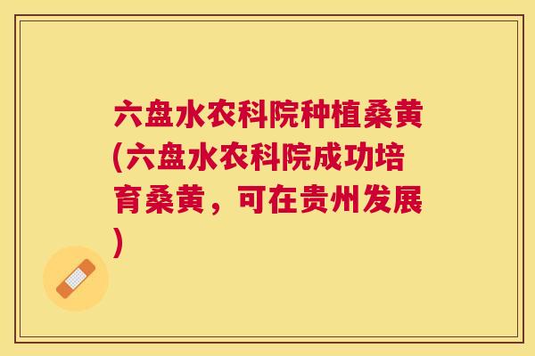 六盘水农科院种植桑黄(六盘水农科院成功培育桑黄,可在贵州发展) 六盘水农科院种植桑黄(六盘水农科院成功培育桑黄,可在贵州发展)