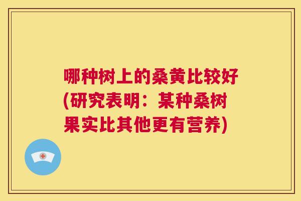 哪种树上的桑黄比较好(研究表明:某种桑树果实比其他更有营养) 哪种树上的桑黄比较好(研究表明:某种桑树果实比其他更有营养)