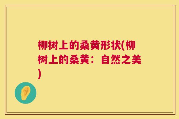 柳树上的桑黄形状(柳树上的桑黄:自然之美) 柳树上的桑黄形状(柳树上的桑黄:自然之美)
