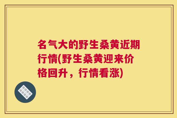 名气大的野生桑黄近期行情(野生桑黄迎来价格回升,行情看涨) 名气大的野生桑黄近期行情(野生桑黄迎来价格回升,行情看涨)