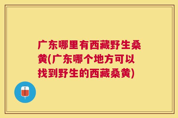 广东哪里有西藏野生桑黄(广东哪个地方可以找到野生的西藏桑黄) 广东哪里有西藏野生桑黄(广东哪个地方可以找到野生的西藏桑黄)