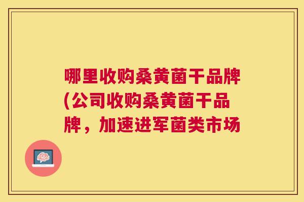 哪里收购桑黄菌干品牌(公司收购桑黄菌干品牌,加速进军菌类市场 哪里收购桑黄菌干品牌(公司收购桑黄菌干品牌,加速进军菌类市场