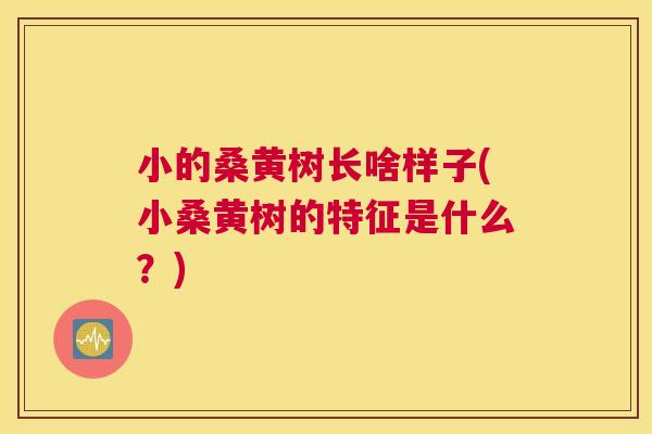 小的桑黄树长啥样子(小桑黄树的特征是什么?) 小的桑黄树长啥样子(小桑黄树的特征是什么?)