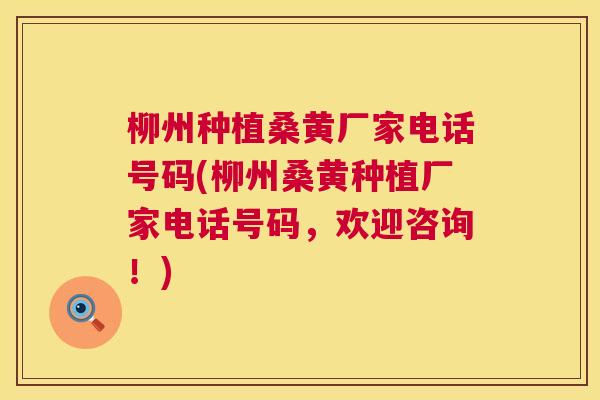 柳州种植桑黄厂家电话号码(柳州桑黄种植厂家电话号码,欢迎咨询!) 柳州种植桑黄厂家电话号码(柳州桑黄种植厂家电话号码,欢迎咨询!)