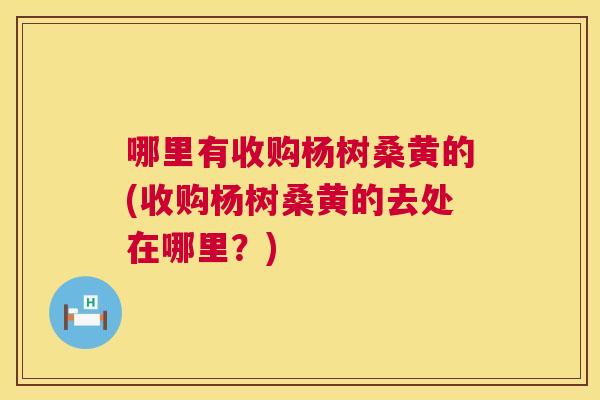 哪里有收购杨树桑黄的(收购杨树桑黄的去处在哪里?) 哪里有收购杨树桑黄的(收购杨树桑黄的去处在哪里?)