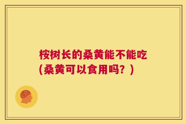 桉树长的桑黄能不能吃(桑黄可以食用吗?) 桉树长的桑黄能不能吃(桑黄可以食用吗?)