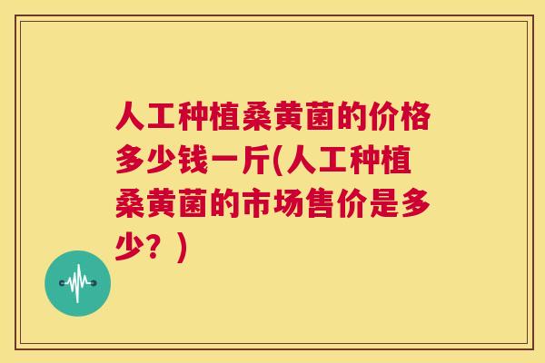 人工种植桑黄菌的价格多少钱一斤(人工种植桑黄菌的市场售价是多少?) 人工种植桑黄菌的价格多少钱一斤(人工种植桑黄菌的市场售价是多少?)