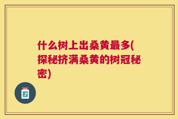 什么树上出桑黄多(探秘挤满桑黄的树冠秘密) 什么树上出桑黄多(探秘挤满桑黄的树冠秘密)