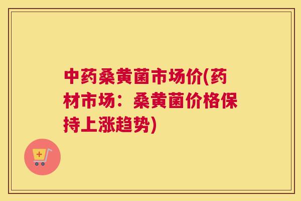 桑黄菌市场价(药材市场：桑黄菌价格保持上涨趋势)