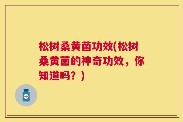 松树桑黄菌功效(松树桑黄菌的神奇功效,你知道吗?) 松树桑黄菌功效(松树桑黄菌的神奇功效,你知道吗?)