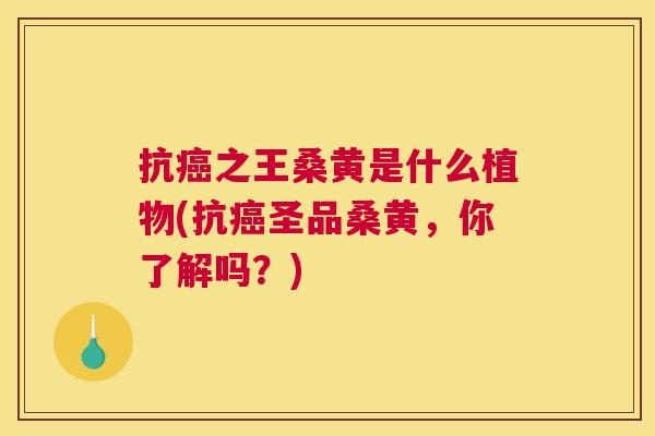 抗之王桑黄是什么植物(抗圣品桑黄,你了解吗?) 抗之王桑黄是什么植物(抗圣品桑黄,你了解吗?)