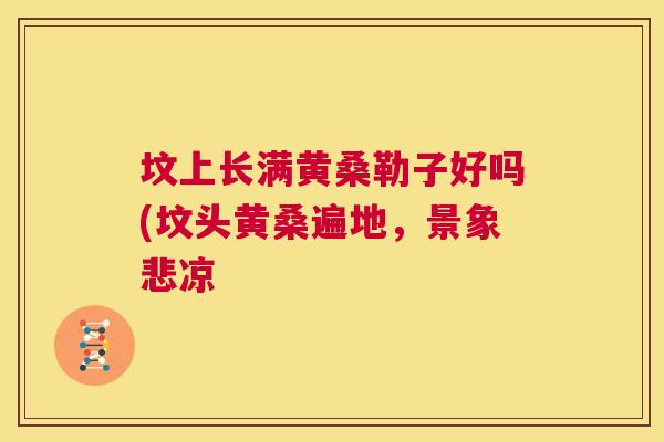 坟上长满黄桑勒子好吗(坟头黄桑遍地,景象悲凉 坟上长满黄桑勒子好吗(坟头黄桑遍地,景象悲凉