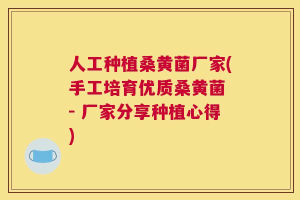 人工种植桑黄菌厂家(手工培育优质桑黄菌 - 厂家分享种植心得) 人工种植桑黄菌厂家(手工培育优质桑黄菌 - 厂家分享种植心得)