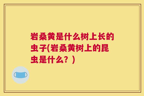 岩桑黄是什么树上长的虫子(岩桑黄树上的昆虫是什么?) 岩桑黄是什么树上长的虫子(岩桑黄树上的昆虫是什么?)