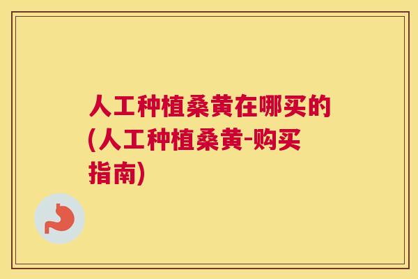 人工种植桑黄在哪买的(人工种植桑黄-购买指南) 人工种植桑黄在哪买的(人工种植桑黄-购买指南)