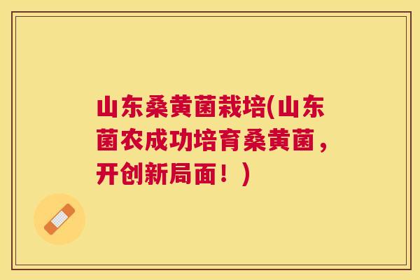 山东桑黄菌栽培(山东菌农成功培育桑黄菌,开创新局面!) 山东桑黄菌栽培(山东菌农成功培育桑黄菌,开创新局面!)