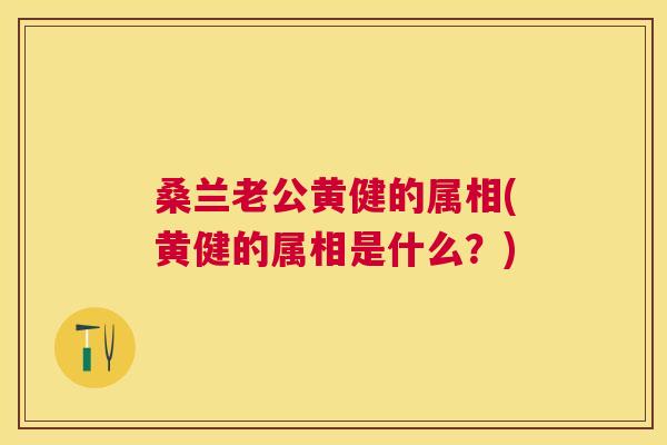 桑兰老公黄健的属相(黄健的属相是什么?) 桑兰老公黄健的属相(黄健的属相是什么?)