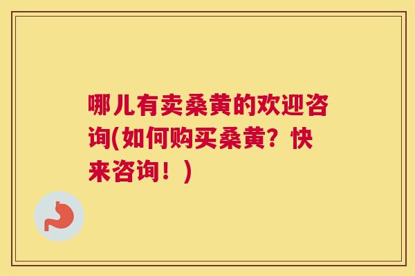 哪儿有卖桑黄的欢迎咨询(如何购买桑黄?快来咨询!) 哪儿有卖桑黄的欢迎咨询(如何购买桑黄?快来咨询!)