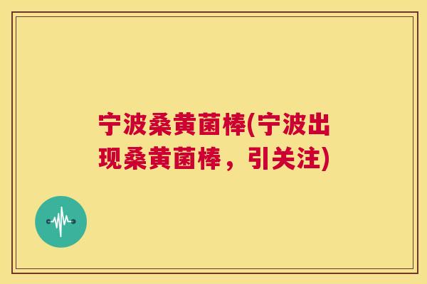 宁波桑黄菌棒(宁波出现桑黄菌棒,引关注) 宁波桑黄菌棒(宁波出现桑黄菌棒,引关注)