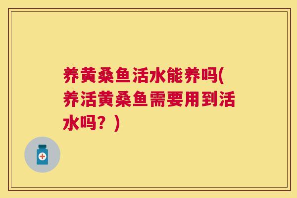 养黄桑鱼活水能养吗(养活黄桑鱼需要用到活水吗?) 养黄桑鱼活水能养吗(养活黄桑鱼需要用到活水吗?)
